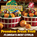 Holiday Citrus